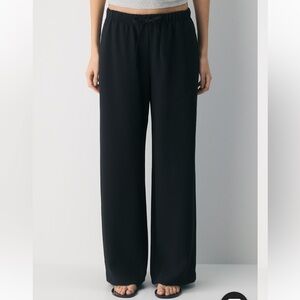 Aritzia- Thesis Pants Crepette Black